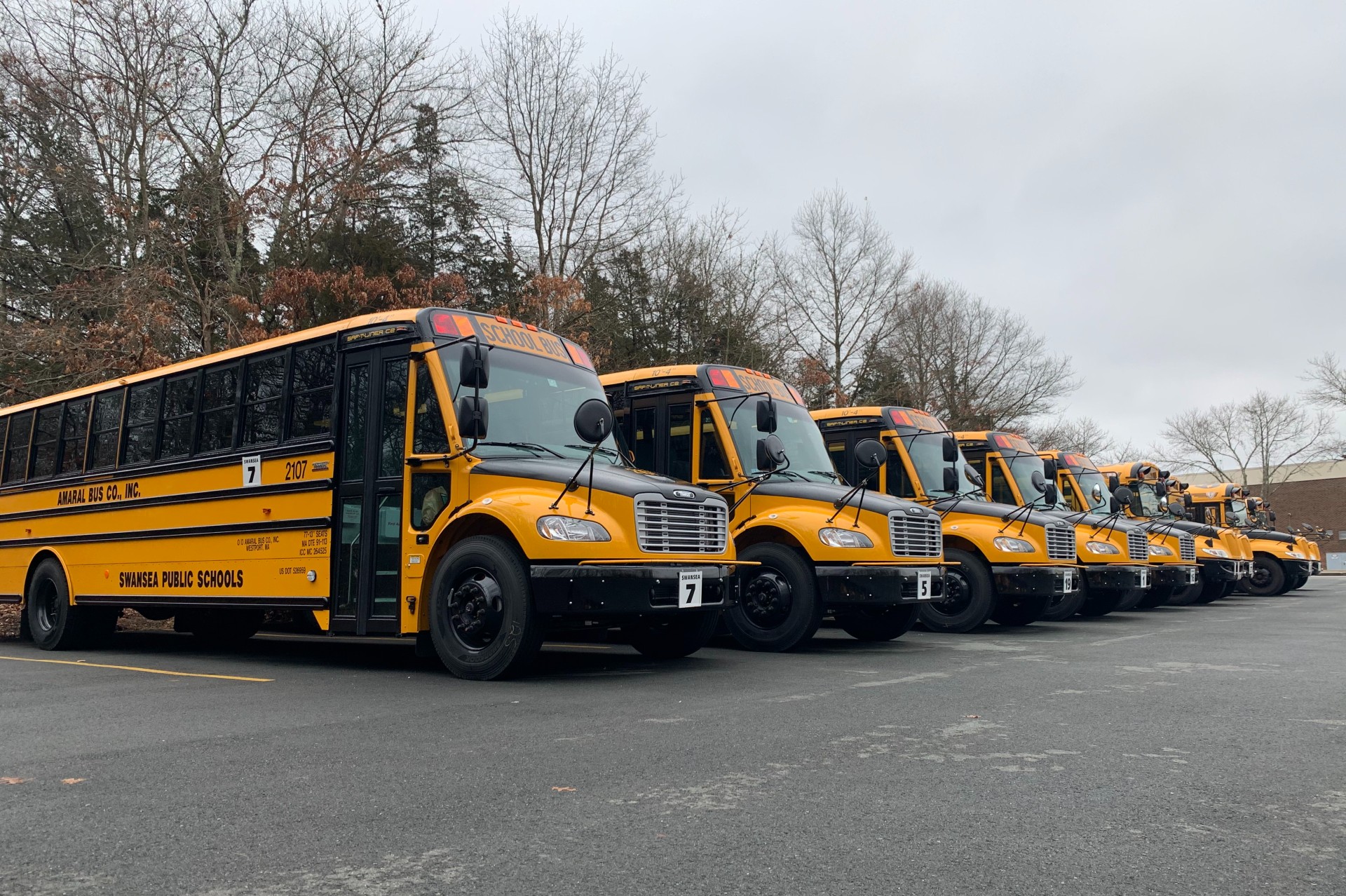 School Bus Endorsements