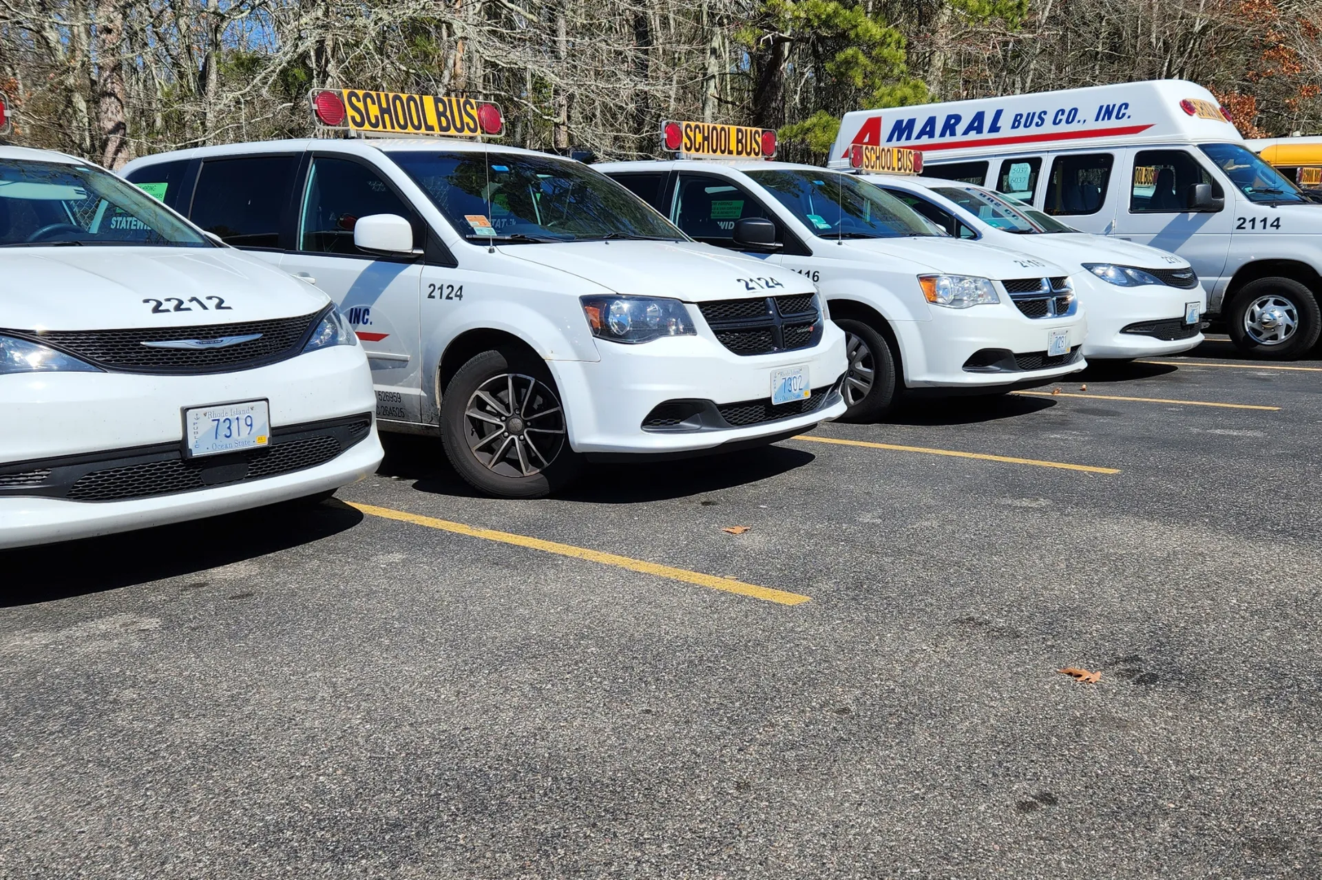 Airport Shuttle Services
